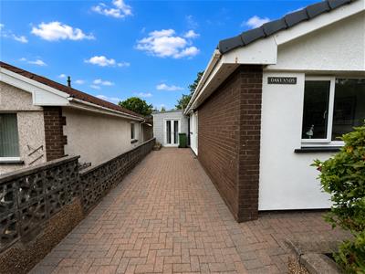 Picture 41